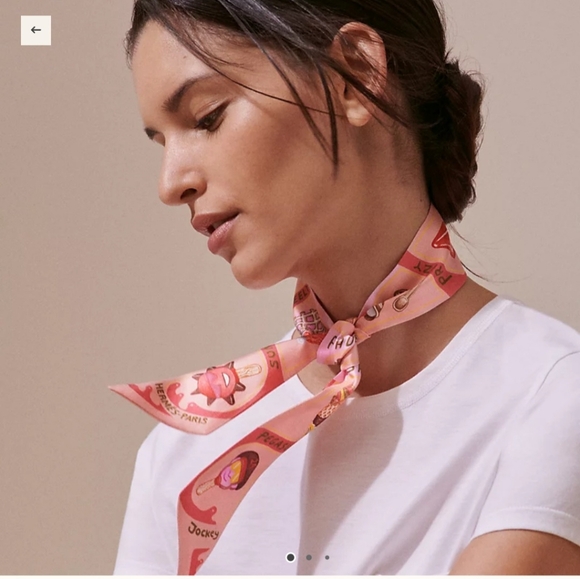 Hermès Peuple Du Vent Bandana Twilly Scarf - Picture 6 of 10